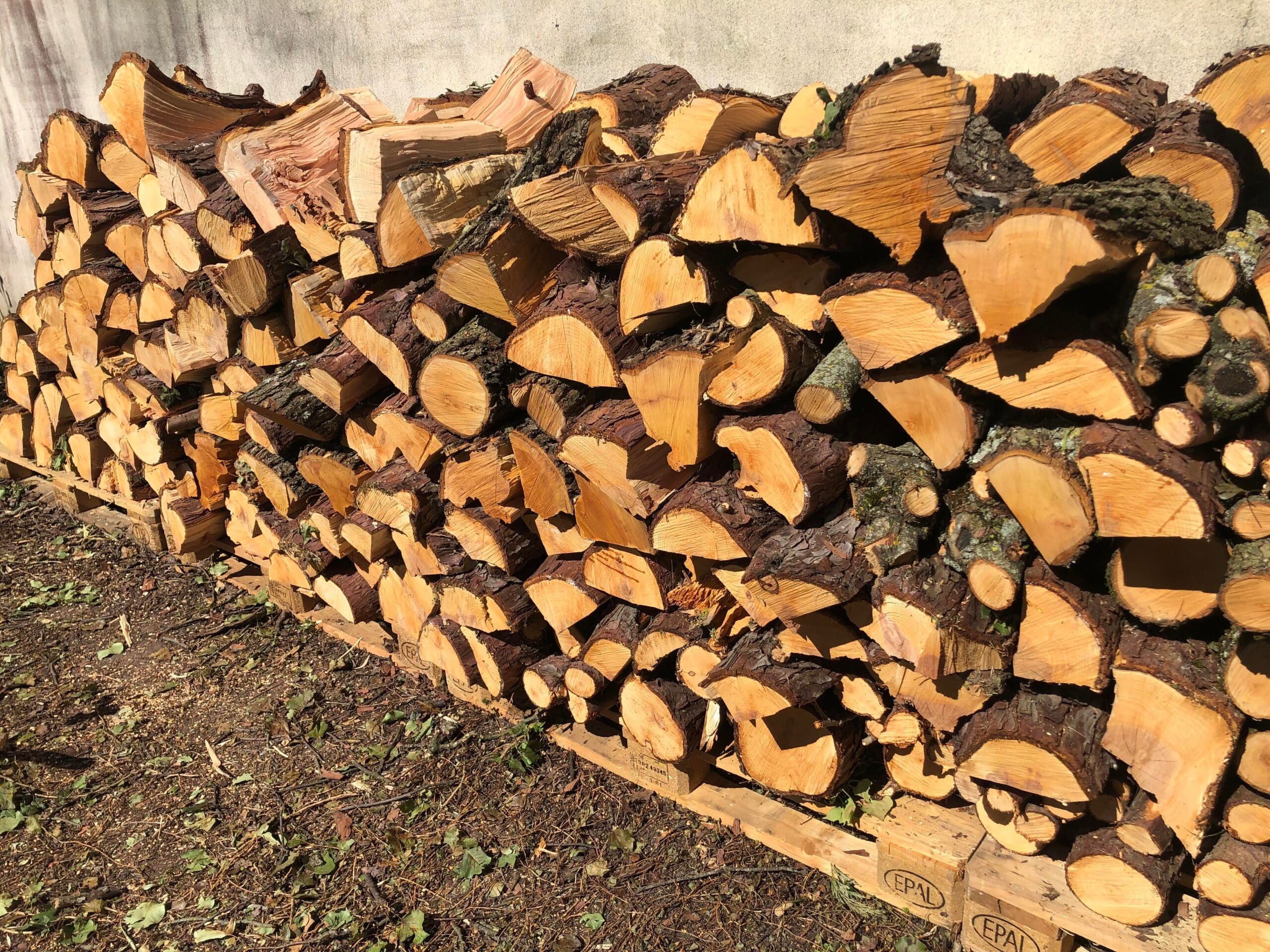 récupération bois de chauffage